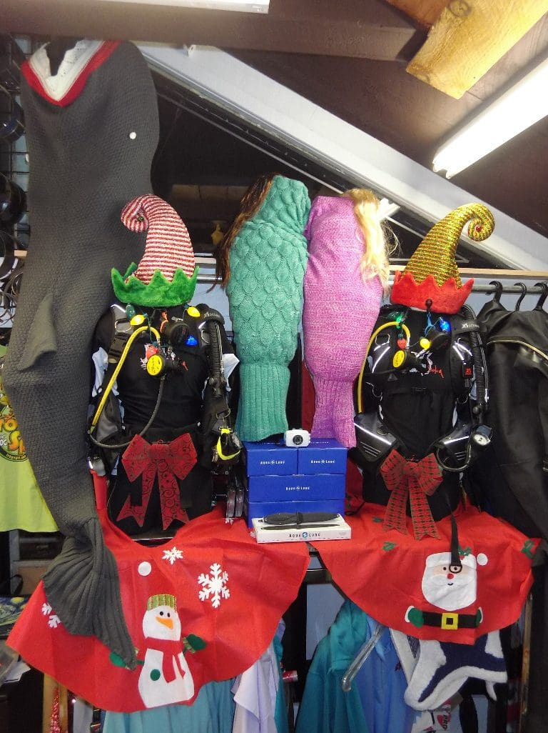 holidaydisplay